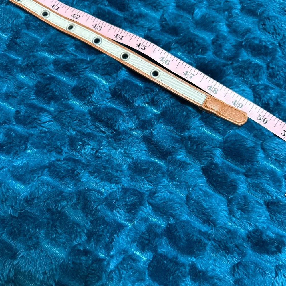 Brown and White Belt with Silver Buckle